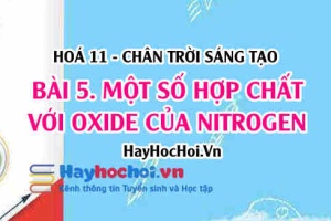 Tính chất vật lí, tính chất hoá học của Nitric Acid HNO3, hợp chất Oxide của Nitrogen? Hoá 11 chân trời bài 5